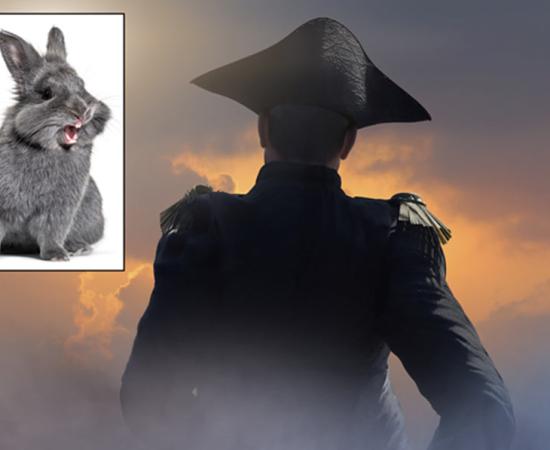Main – Representational image of Napoleon Bonaparte. Source: de Art / Adobe Stock. Inset: Angry rabbit. Source: Eric Isselée / Adobe Stock