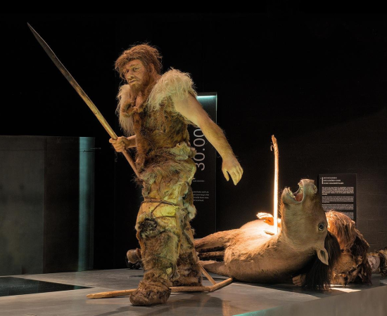 Neanderthal hunters depicted in the Gallo-Roman Museum, Tongeren (Belgium)