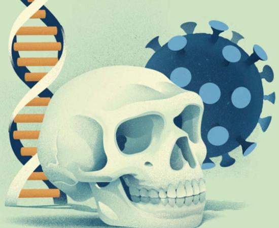 Do You Have the Good or Bad Covid-19 Neanderthal Genes?