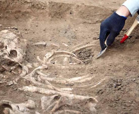 Neanderthal DNA Recovered from Cave Dirt Using Breakthrough Technology