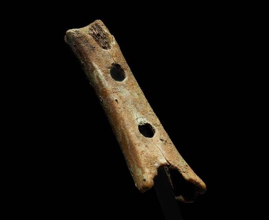 Divje Babe flute (Peter Milosevic / CC by SA 4.0)