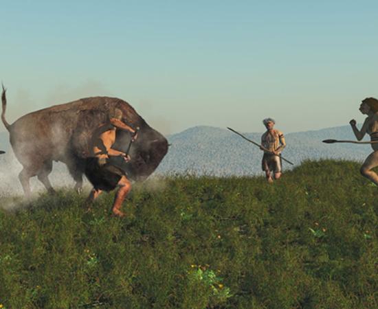 Group of Neanderthal hunting a bison. New research confirms meat was a major part of the Neanderthal diet. 