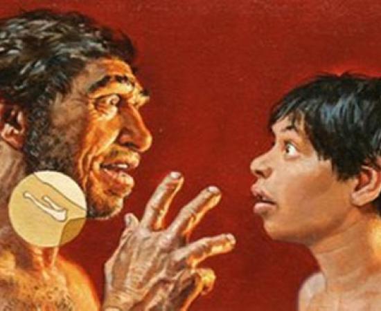 Neanderthal Language
