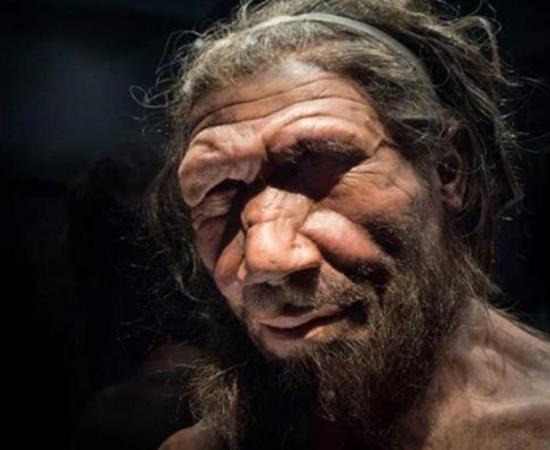 Neanderthal man at the Natural History Museum London