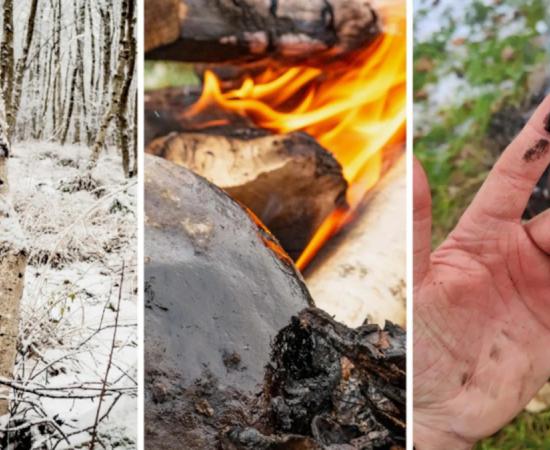 Researchers used methods that Neanderthals also used to produce birch tar.