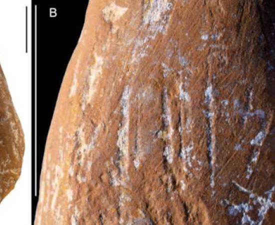 Scraped and ground ochre crayon showing deliberate modification.