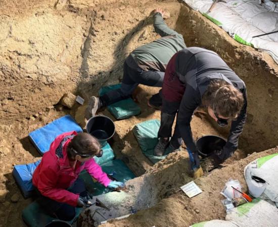 Archaeological excavation work in the area where the Neanderthal DNA producing remains appeared.