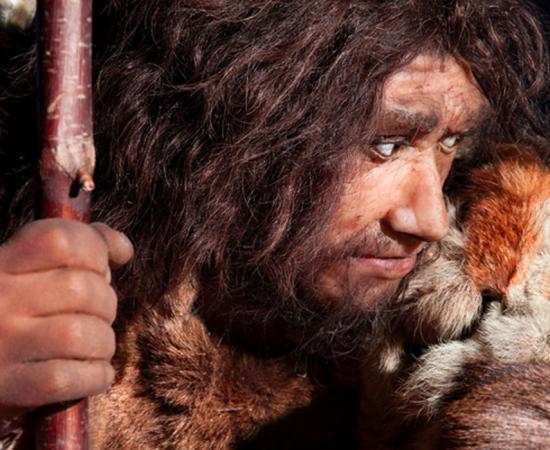 Neanderthal. Source: procy_ab / Adobe Stock