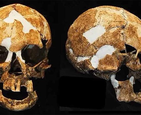 The cranial profile of the female ‘Negrito’ skeleton found in Xiaoma Caves  Source: Hirofumi Matsumura / CC BY NC ND 4.0)