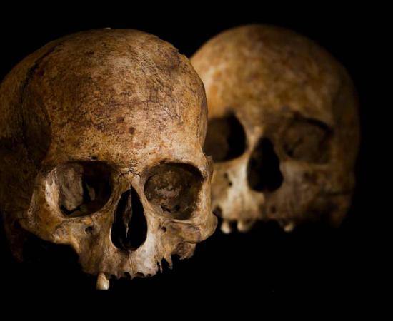 Spanish researchers have released their scientific study of the Neolithic age skulls and ritual artifacts found in one of the Dehesilla caves south of Cadiz, Spain.   