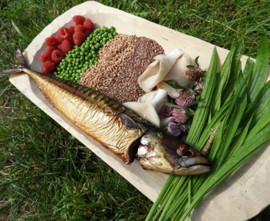 A selection of possible food in a Neolithic diet in the Iron Gates region, where people were still more reliant on aquatic resources. 