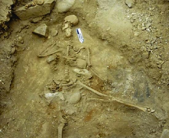 Neolithic fisherman Source: Stephen Bates / Andrade et al.