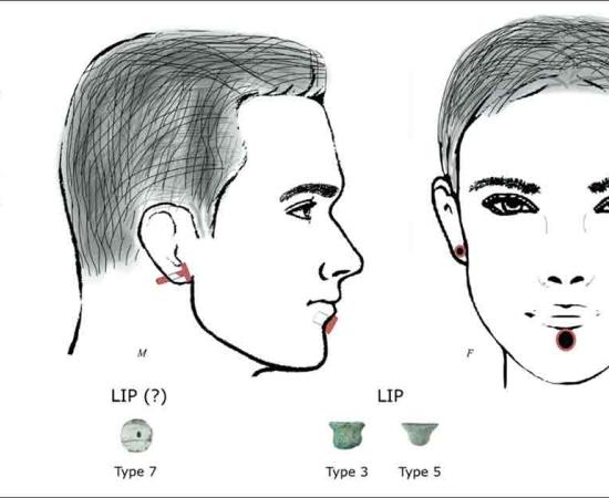 Over 100 objects have so far been recovered from the Neolithic cemetery which were apparently used for piercings. Source: Ergül Kodaş, Emma L Baysal & Kazım Özkan.