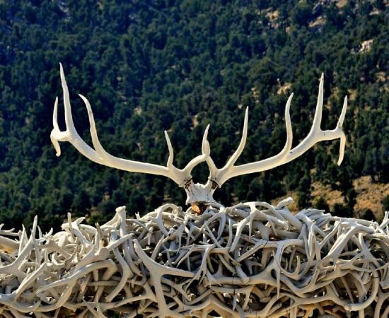Neolithic ring proved to be made of antler or bone.   Source: John Nakata / Adobe Stock
