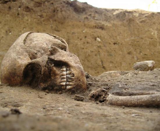 DNA analysis will be conducted on the remains of the woman who lived during the Neolithic period. Source: Twitter/ Robert Ide