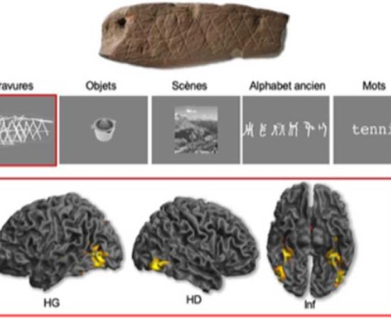 Experts, using neurosciences, study the human brain’s reaction to ancient engravings. Source: E. Mellet et al. The Royal Society Publishing / CC BY 4.0