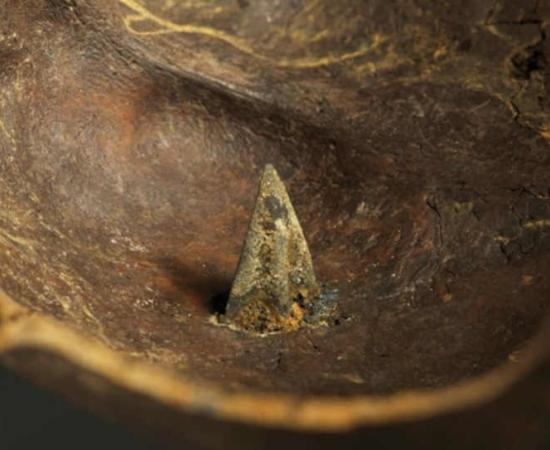 New Twist In ‘Europe’s Oldest Battle’ Gleaned From Bronze Age Arrowheads