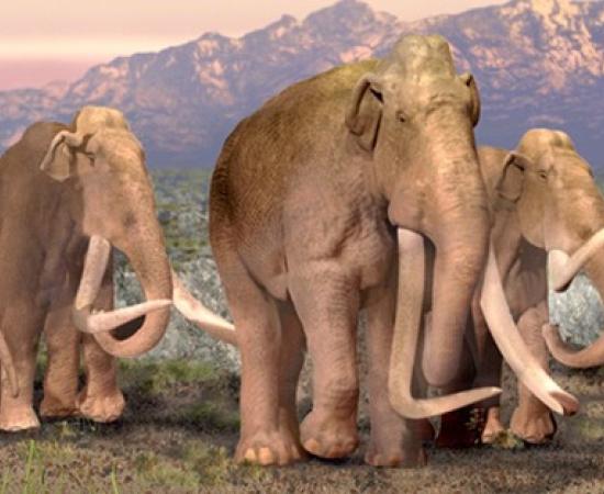 : CGI of Mammoths roaming the White Sands National Park