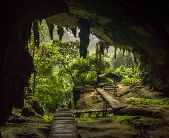 Niah National Park, Where the Caves Continue to Give 40 Thousand Years On