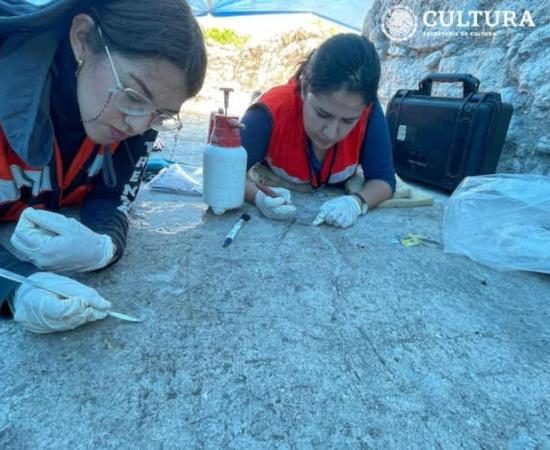 Nine Ancient Patolli Games Found During Maya Train Construction