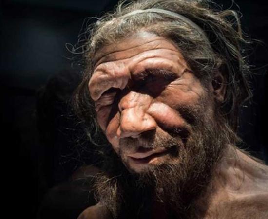 Neanderthal man at the Natural History Museum London