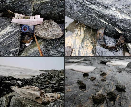 These horse-related finds from Lendbreen indicate the route of a Nordic mountain trail: top left) mandible; top right) horseshoe; bottom left) horse skull; bottom right) horse dung. Source: J.H. Barrett & Glacier Archaeology