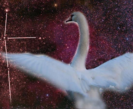 Image of the North America Nebula, an emission nebula in the constellation Cygnus, close to Deneb