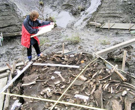 Two men found at the Yana Rhinoceros Horn Site in northern Siberia in Russia date to about 32,000 years ago, providing the earliest direct evidence of humans in the region.           Source: Elena Pavlova