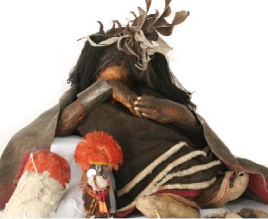 The boy recovered from Cerro El Plomo in 1954, was the first finding of its kind to be the subject of scientific studies. Pictured with excavated grave goods: a female silver statuette, gold llamas and spondylus shell, a chuspa stuffed with coca leaves, scrotum and animal intestine bags with clippings of nails, hair and teeth, and a silver bracelet