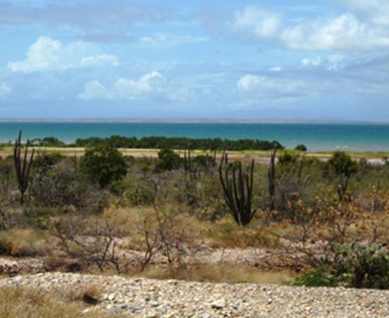 The Island of Cubagua, Venezuela      