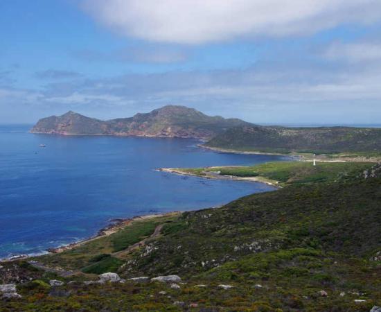 Oldest DNA from South Africa Decoded