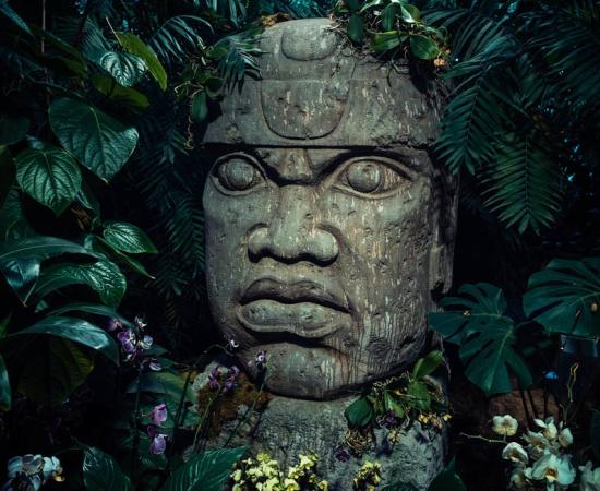 The colossal stone head is a major icon of the culture of the Olmecs