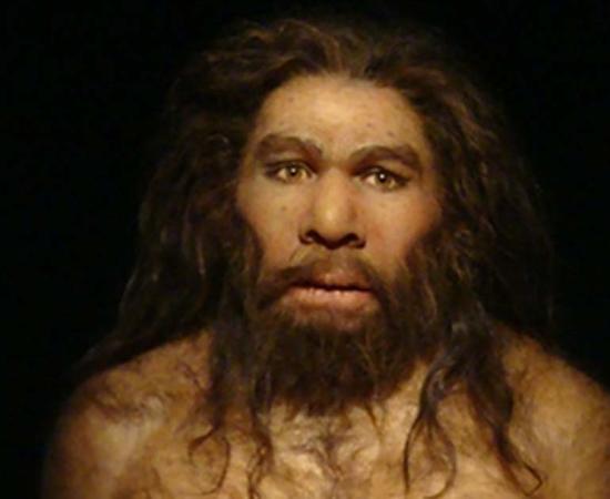 A Neanderthal.