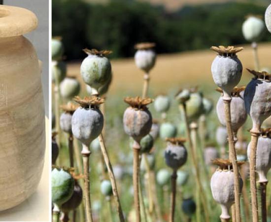 Left, Jar of Xerxes I from the Mausoleum at Halicarnassus, Right; Opium poppies.