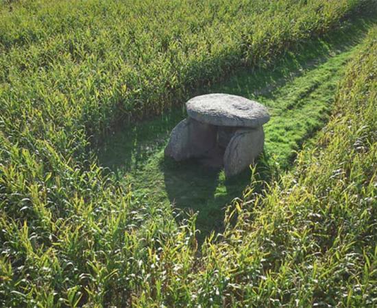 Dolmen of Poloutin in a cornfield, representing the origins of farming.	Source: aluxum/Adobe Stock
