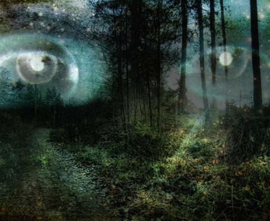 The Origins of the Faeries: Changes in Conscious Perception – Part II