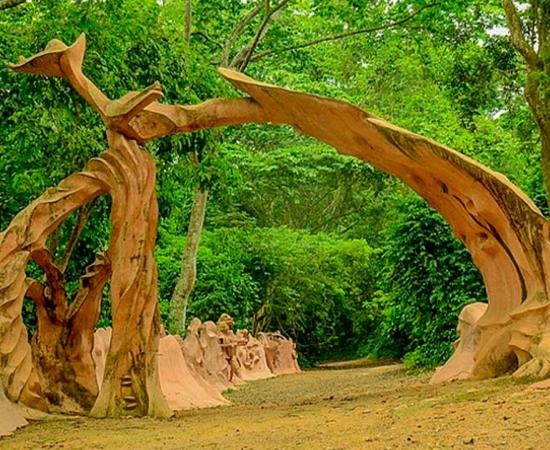 Osun-Osogbo Sacred Grove in Nigeria. A sacred forest along the banks of the Osun River just outside the city of Osogbo in Osun State. Source:	 Oloyedejuwonlo/CC BY-SA 4.0