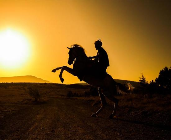 Ottoman Warrior. Credit: ahmetnkececi / Adobe Stock