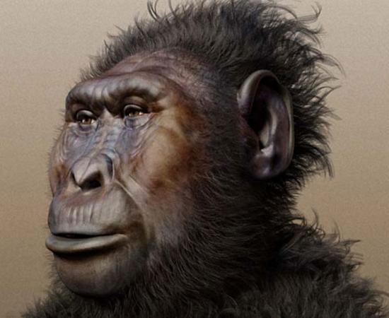 Paranthropus boisei (Forensic facial reconstruction) likely contracted the virus from eating chimpanzees.