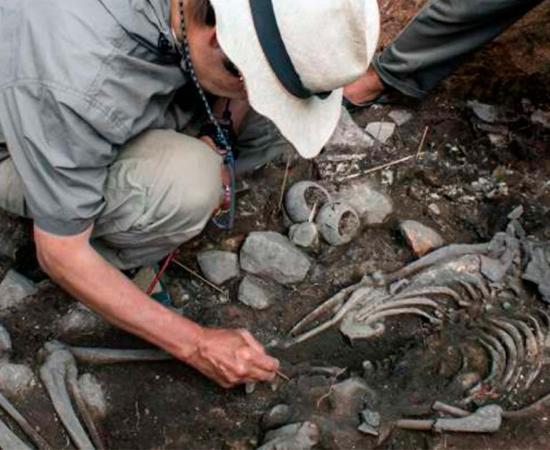 Archaeologist excavating the skeletal remains of a priest discovered within the Pacopampa tomb in Peru. Source: Peru’s Ministry of Culture