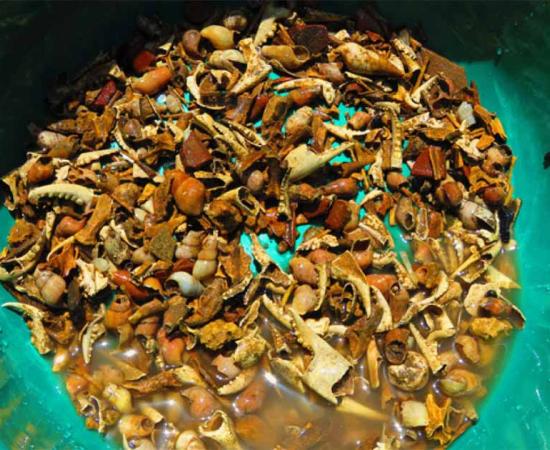 Sieving For Micro-Insights into the Maya Rituals at Palenque Palace