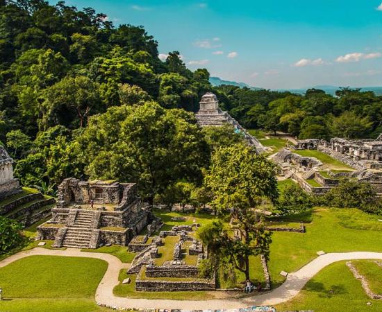 Ancient Mayan city of Palenque. Source: adolfousier / Adobe Stock.