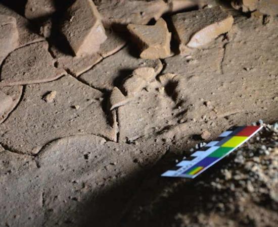 Paleolithic Age Footprints of Children Discovered in La Garma Cave