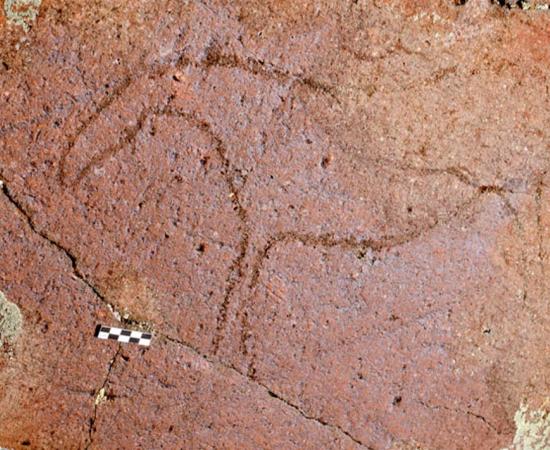 The drawings, though difficult to date scientifically, match the style of Paleolithic drawings of 8,000 to 10,000 years ago.