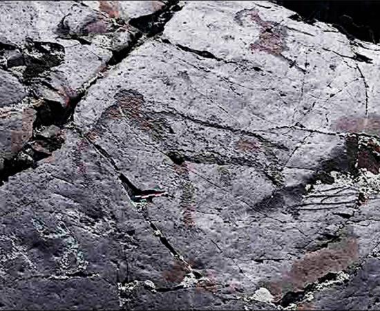 The Paleolithic rock art of the mammoth discovered at Baga-Oygur III in early 2000s. Source: Institute of Archaeology and Ethnography SB RAS / Siberian Times