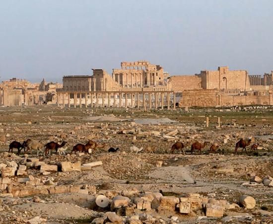 View of Palmyra in 2010 showing the Temple of Bel. 