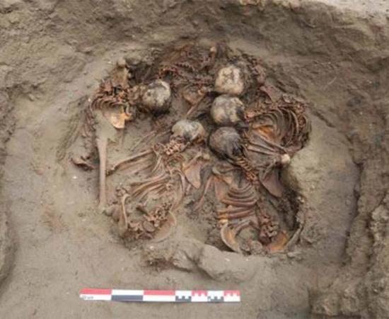 The most mystifying grave found during the July-August dig season at Pampa La Cruz in northern Peru held five children in a circle with their heads almost touching. Source: andina / Huanchaco Archaeological Program