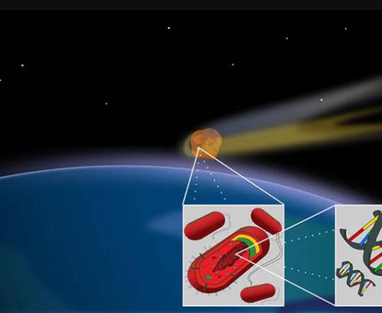 Artistic representation of cometary panspermia delivering life across the cosmos.