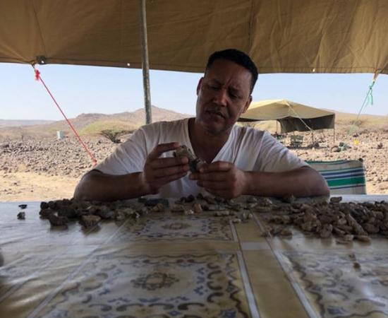 Professor Zeresenay Alemseged sifts through unidentified fossil fragments in the field