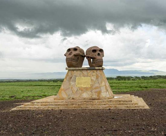 At one of the entrances to the Ngorongoro Conservation Area in Tanzania stands a monument to human evolution: the huge and heavy Paranthropus skull (left) next to a Homo Habilis skull (right).       Source: Иван Грабилин / Adobe Stock